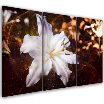 Arte en Lienzo Lirio Blanco sobre Marrón 60x40