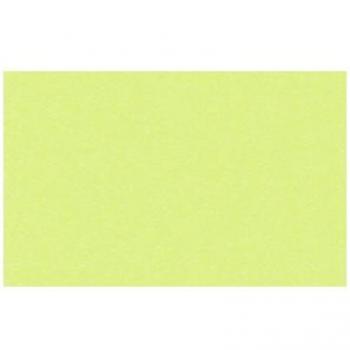 Papier d’Art Ursus Vert Pomme – Pack 10 feuilles (50x70 cm, 130 g/m²)
