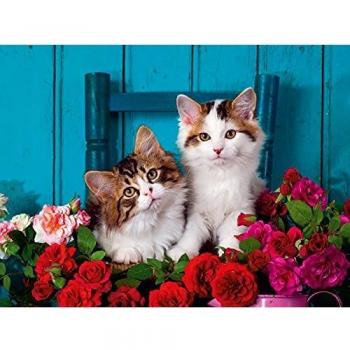 Puzzle Ravensburger 500