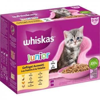 2x85g Junior: Sélection de volaille en gelée Whiskas Sachets pour chat + 24 x 85 g offerts !