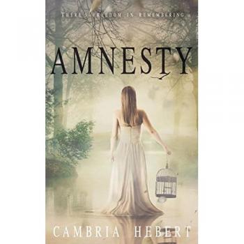 Amnesty: Amnesia duet book 2