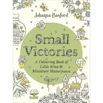 Lovereading Every Little Win How Celebrating Small Victories Can Lead to Big Joy