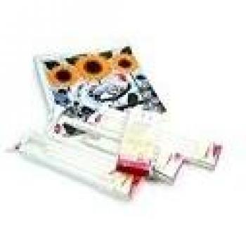 Quilter's 17x17 Inch Lap Frame