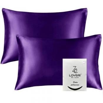 LoveAI Velvet Soft Pillowcase Duo