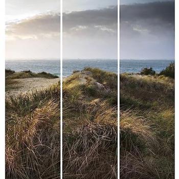 Toile Triptyque Céanothe Dune 90x97 cm