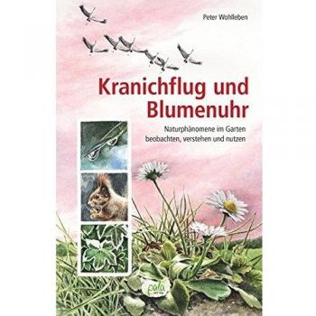Kranichflug und Blumenuhr: Naturphänomene im Garten beobachten, verstehen und nutzen