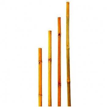 Verdemax 6662 16-18 mm diametro 210 cm altezza bambù supporto palo mazzo