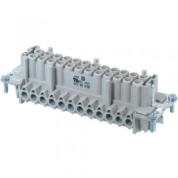Wieland 70.300.2440.0 Revos BASIC 500V 24 Pin + PE Socket Insert