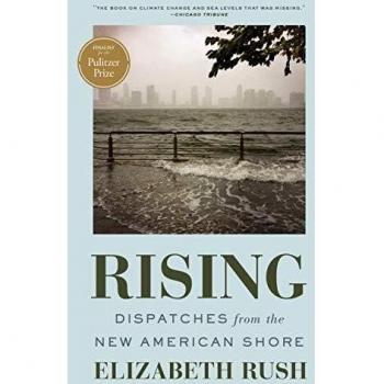 Rising : Dispatches from the New American Shore
