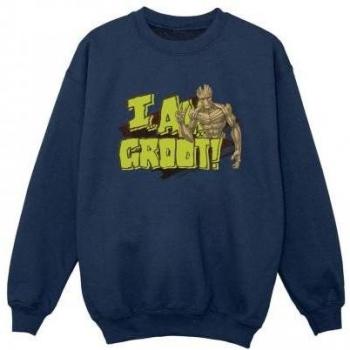Guardians Of The Galaxy I Am Groot Black Sweatshirt for Boys (Ages 12-13)