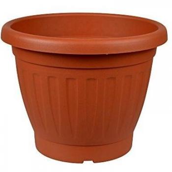 Firenze Large Terracotta Flower Pot, 20 cm, Dark Brown Color