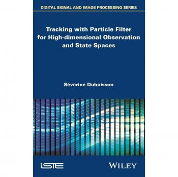 Tracking with Particle Filter for High-Dimensional Observation and State Spaces