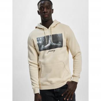 Sudadera Mister Tee Pray con capucha