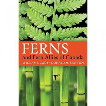 Ferns and Fern Allies of Canada