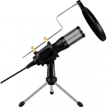 All-in-One Karaoke Microphone for Windows and iPhone