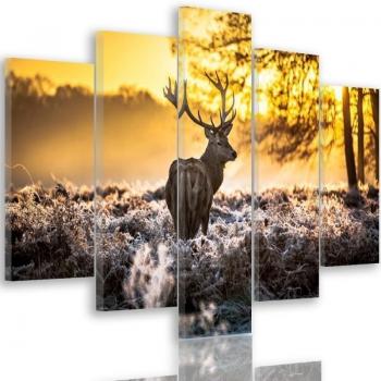 Stampa Cervo Al Tramonto – Set 5 Pezzi 100x70