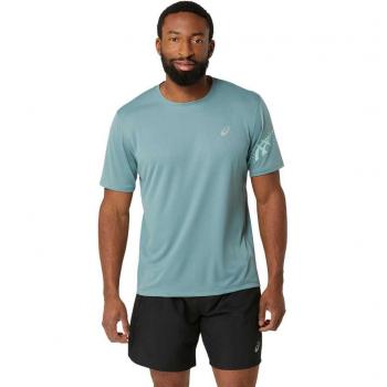 T-shirt ASICS A Maniche Corte Icon