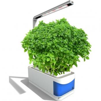 Multifunctional Herb Garden Kit