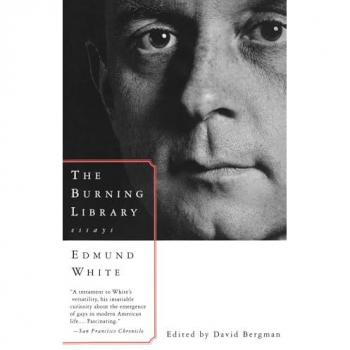 The Burning Library: Essays (Vintage International)