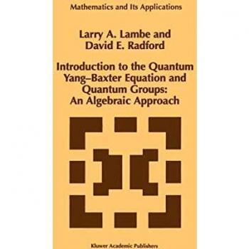 Introduction to the Quantum Yang-Baxter Equation and Quantum Groups: An Algebraic Approach (Mathematics And Its Applications) (Mathematics and Its Applications (423), Band 423)