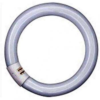 L 40W/840 C G10Q 12X1 OSRAM