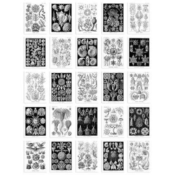 Eco Chic Botanical Collage Kit – 50 A6 Black/White Prints