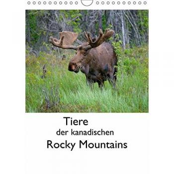 Tiere der kanadischen Rocky Mountains