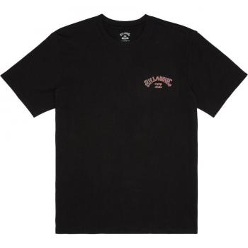 Billabong Boys Arch Fill T-Shirt