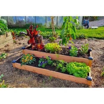 Potager Élevé en Bois Douglas Non Traité