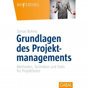Grundlagen des Projektmanagements: Methoden, Techniken und Tools für Projektleiter