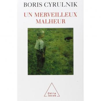 Un merveilleux malheur
