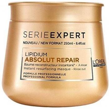 Maschera di Recupero Assoluto L'Oréal Professionnel 250 ml