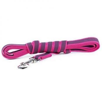 Julius-K9 Pink-Gray Training Leash with Handle
