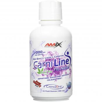 Amix Carniline ProActive Slimming Capsule – 480 mL