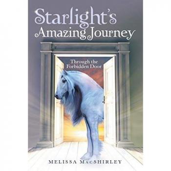 Starlight'S Amazing Journey: Through the Forbidden Door