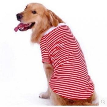 Big Dog Clothes for Golden Retriever and Samoyed