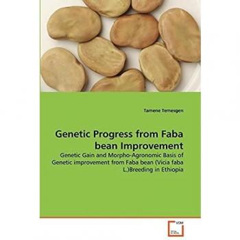 Genetic Progress from Faba bean Improvement: Genetic Gain and Morpho-Agronomic Basis of Genetic improvement from Faba bean