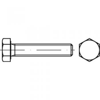 Vis Hexagonale 55mm Vg Din 933/iso