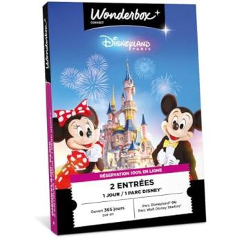 Coffret enchanté Disneyland Paris 1 jour / 1 parc