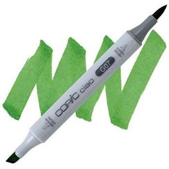 Copic Ciao Marker G07