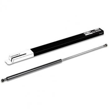 RIDEX 477827349D Pistoncini portellone