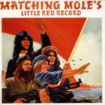 Rote Mini-Platte von Matching Mole