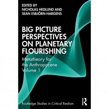 Big Picture Perspectives on Planetary Flourishing