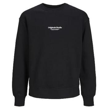 Jack & Jones Junior Sweatshirt »JORVESTERBRO SWEAT CREW NECK NOOS JNR«