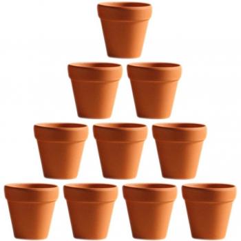 Maceta Pequeña para Cactus y Plantas Cr