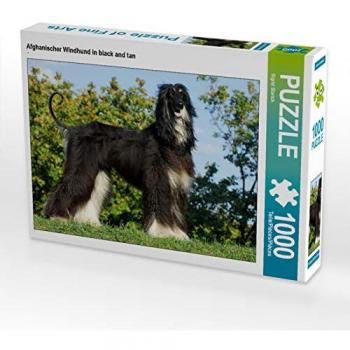 CALVENDO Puzzle Afghanischer Windhund in Black and tan 1000 Teile