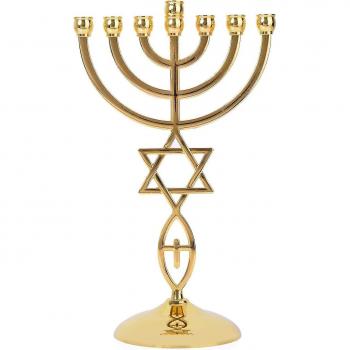 Estrella de David en Oro 21 cm