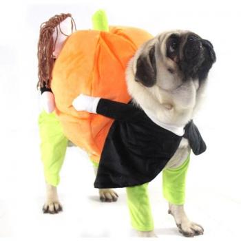 Vêtements de Fête Halloween pour Chiens HEYPET