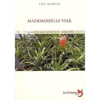 mademoiselle viak : chronique d'un ko debout