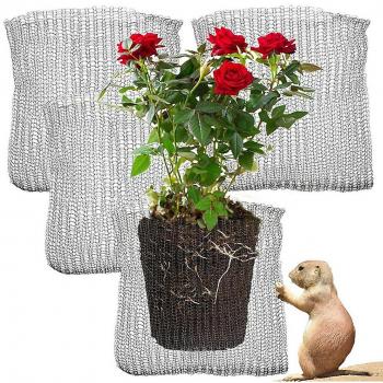 Cages Souterraines en Acier Inoxydable pour Plantes